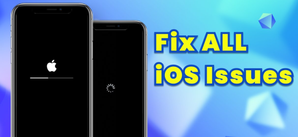 Software Issue Repair